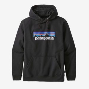 Patagonia sweatshirt
